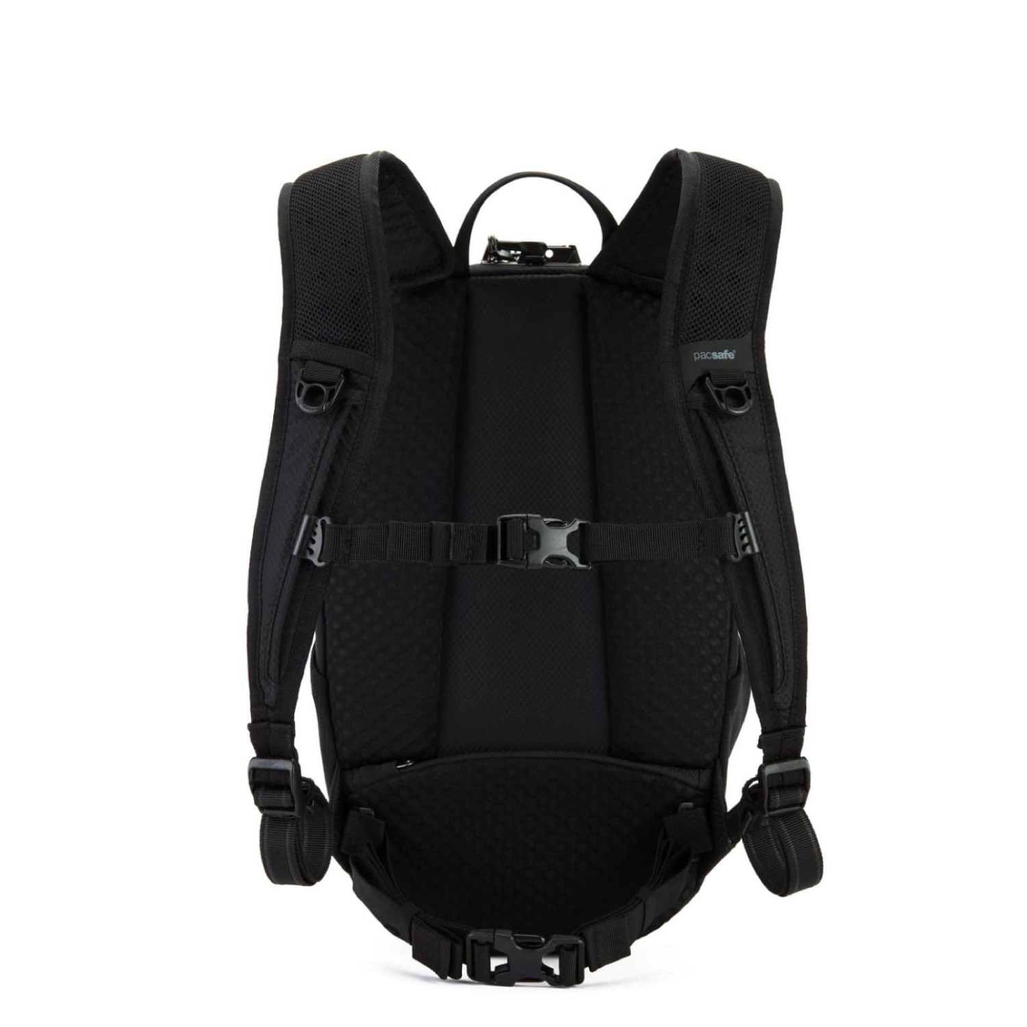 pacsafe venturesafe x12 review